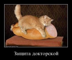 Почему колбаса докторская?