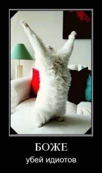 Дикие хозяева наносят ответный удар!