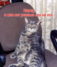 Дикие хозяева наносят ответный удар!