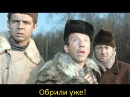 Брошенная кошка, на спине которой образовались дреды, наконец-то была спасена