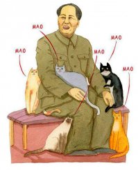 Ну, так, чисто поржать