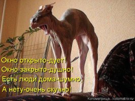 Ну, так, чисто поржать