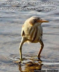 Ну, так, чисто поржать