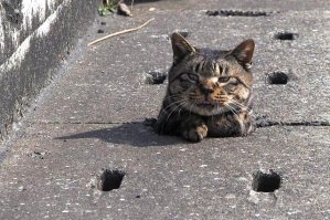 Грешники, я пришел!!!