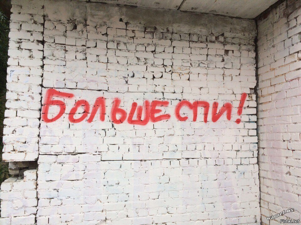 стену их читала