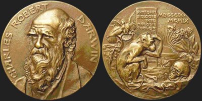  Девушка гуляющая по электрическим проводам