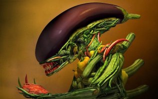 Это не совсем клубника..ещё пару месяцев, щепоточка пестицидов, чуточку рентгенов и плод сформируется.