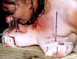 за мышеловку