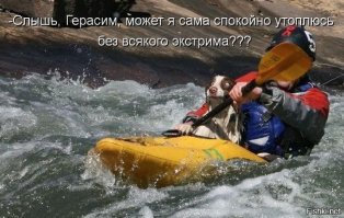 Дерьмо случается