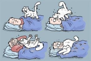 "Будит" это вот так.