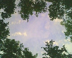 Немного рекурсии и никакого обмана