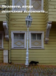 Кажется  скоро кого-то снова бросят
