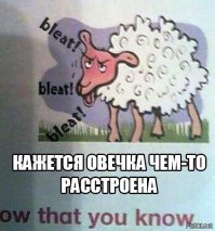 Смешные картинки