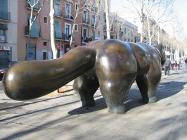 Кошки. Вид снизу