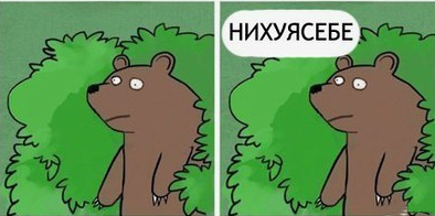 Повезло, так повезло: мужчина спасся от медведя, отогнав его криком