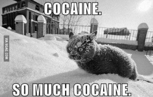 25 знаменитостей с самым неудачным макияжем