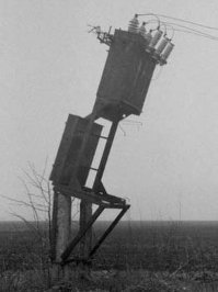 Когда Skynet будет атаковать человечество, покажите ему это видео!