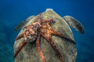 Невероятные фотографии нашей планеты!