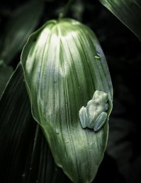 Невероятные фотографии нашей планеты!