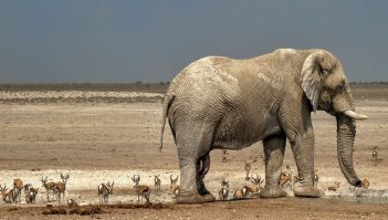 Невероятные фотографии нашей планеты!