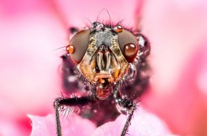 Невероятные фотографии нашей планеты!