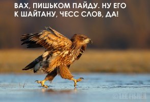 Водитель вылетел из салона в Чечне