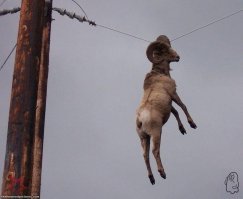 Фото с места приземления.