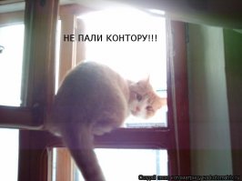 Сисадмин убил девять дней на наведение порядка в проводах