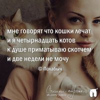 Стишки-пирожки обо всем на свете