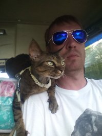 А это мой девон рекс.