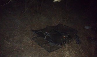Ага, залез как-то ночью один в краболовку. 
Как залез сам, так сам и вылез. 
Но пофоткать мы успели. 

Это было единственное, что попалось в эту краболовку за месяц. :) 

А вообще, это хищники. 
Когда между собой дерутся за территорию - жесть! 
Вопли, кровища!