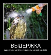 Спокойствие, только спокойствие