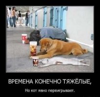 Времена тяжёлые... потерпите, родненькие!