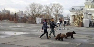 Кто живет с японцами