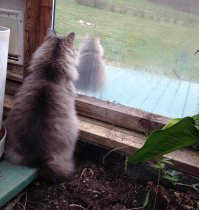Вот уж точно - сбой в матрице, у меня аж в глазах зарябило