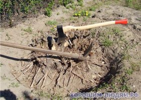 Я понимаю это за бугром машина, да и цена верно высокая.Так ,что мы по старинке