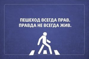 Гифки дня