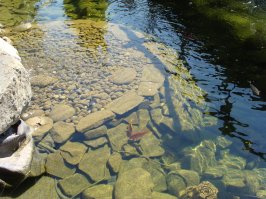 Анапа, тоже пруд между тротуаром и дорогой....
