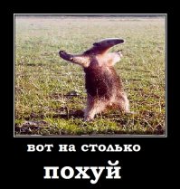 Кем выросли знаменитые мальчики-эмо?