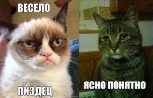 Девок бы лучше целовали,а не собак!