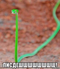 Новый модный мем: змеи с маленькими чёрными руками