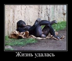 Времена тяжёлые... потерпите, родненькие!