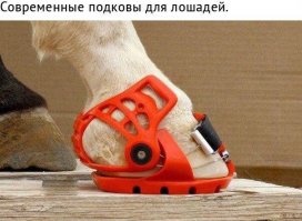 Дамский AliExpress