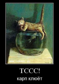 Колбаски рыбке захотелось !