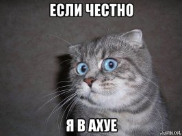  Райская гурия-гуманоид с планеты Харам