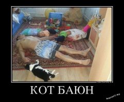 "Наглая морда".  Кто меня разбудил?