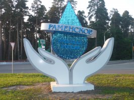 Нападение с битой в Раменском