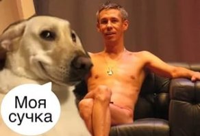 Горячий Instagram с симпатичными парнями и пёсиками