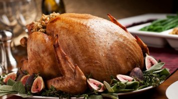 Огромная индейка пробила лобовое стекло автомобиля