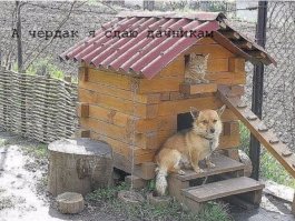 Программа "Доступное жильё" в действии